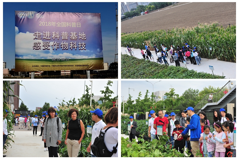 2018全国科普日-作物科普基地公众开放日活动--专家讲解人员与参观人员互动.jpg