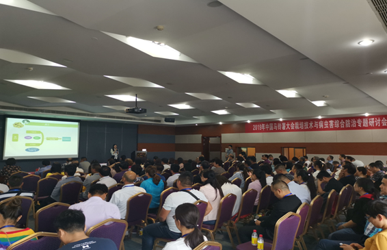 专题报告会场.png