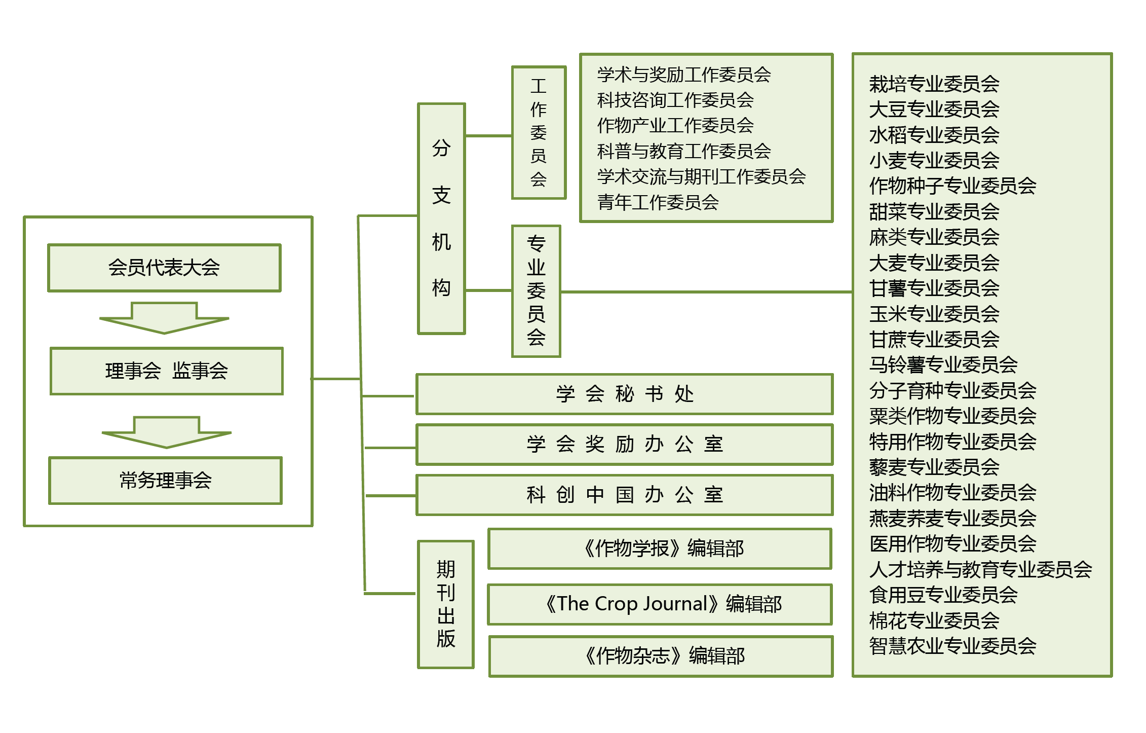 组织结构图-中文.png