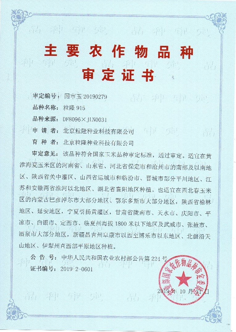 粒隆915品种审定证书.jpg