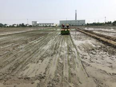 缓混肥-2.jpg