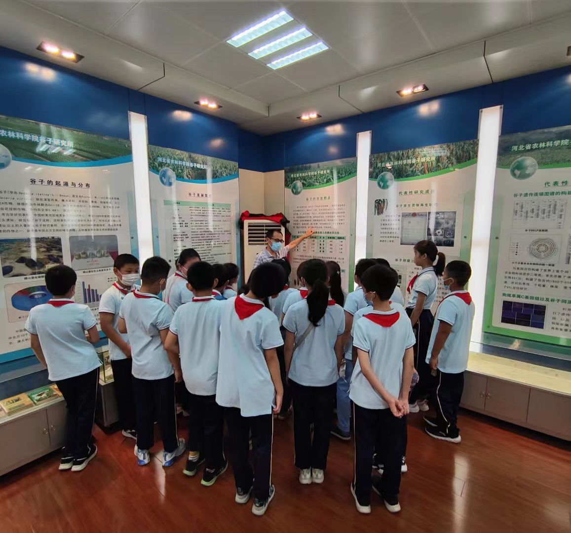 4-学习杂粮作物的知识.jpg