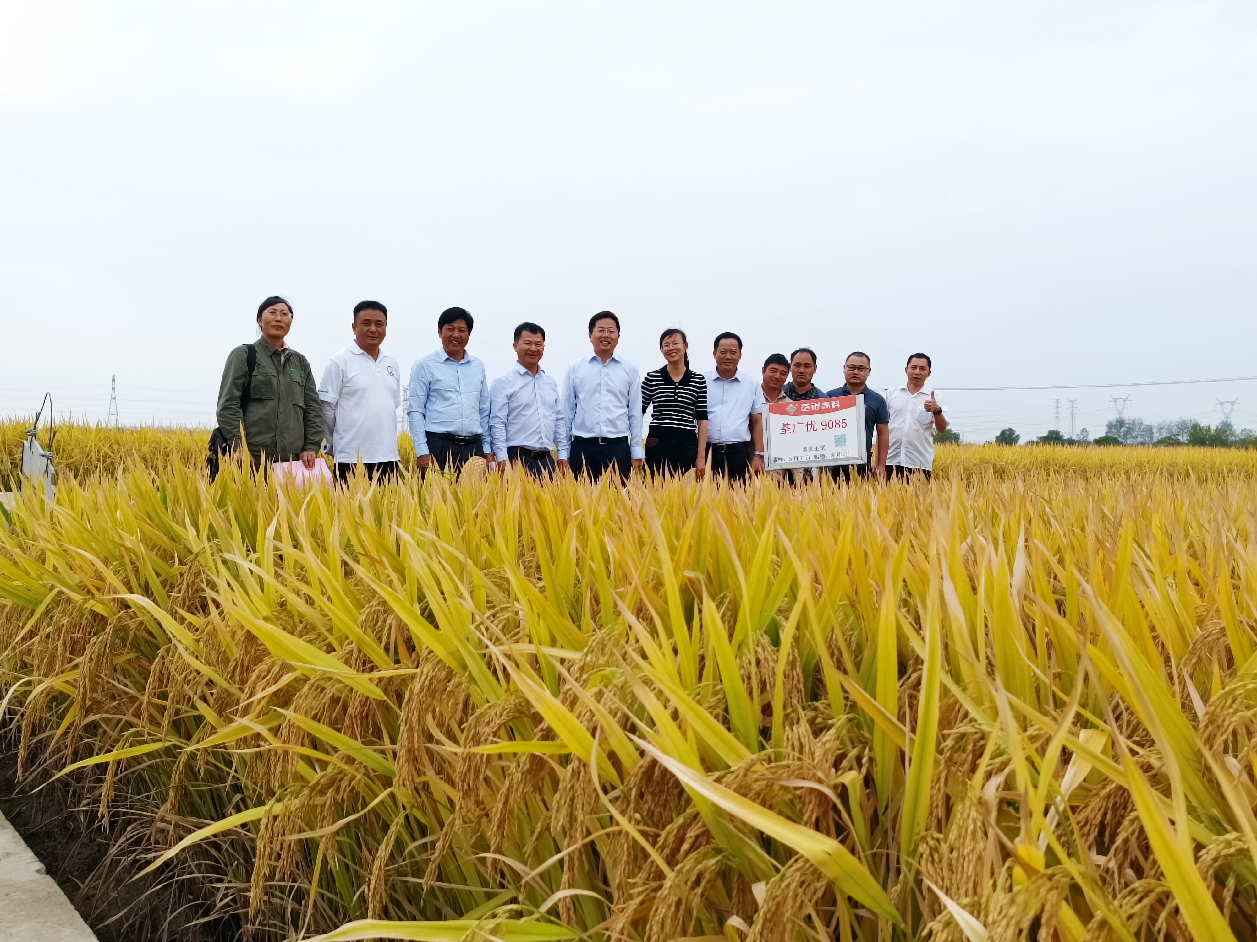 3-张从合副理事长陪同专家考察水稻试验基地.jpg
