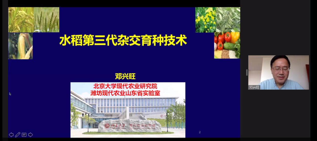 3。1.png