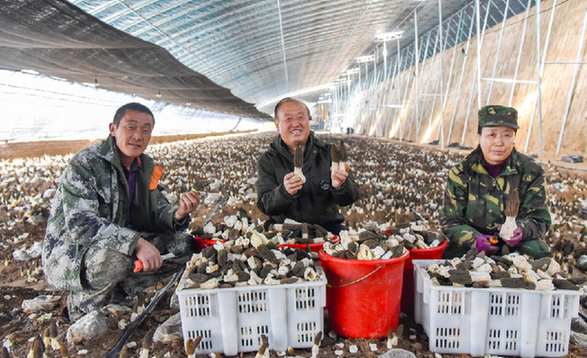 微信图片_20221209163255.png
