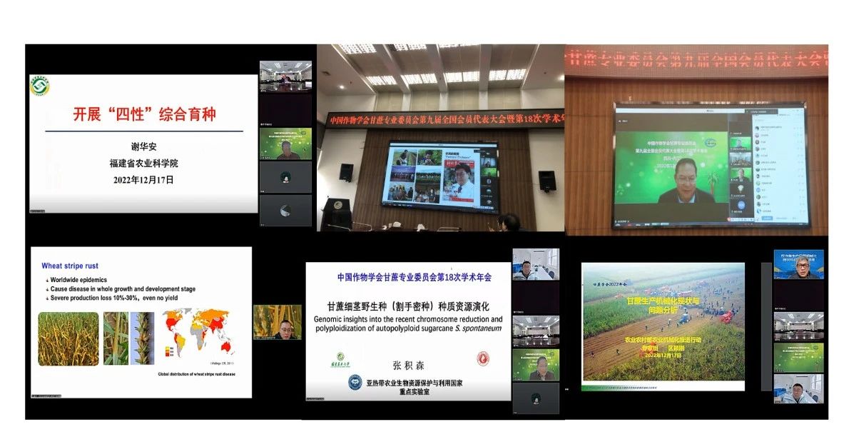 微信图片_20221219155033.jpg