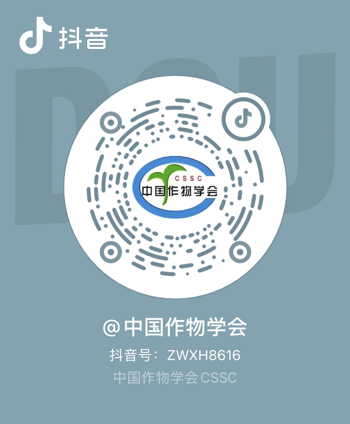 抖音.jpg