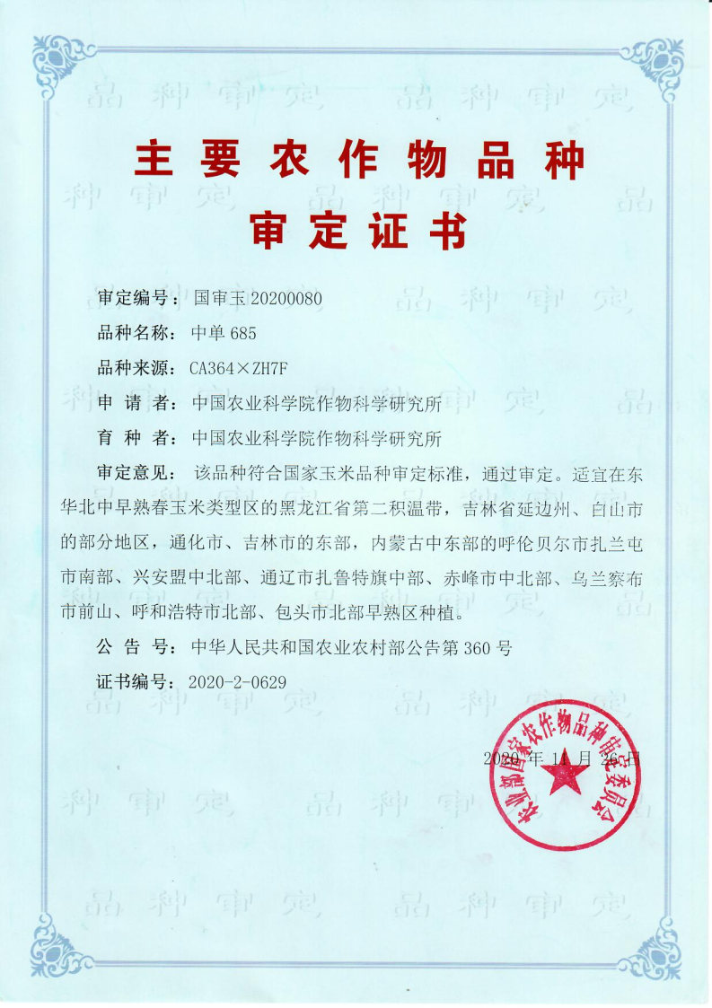 中单685.jpg