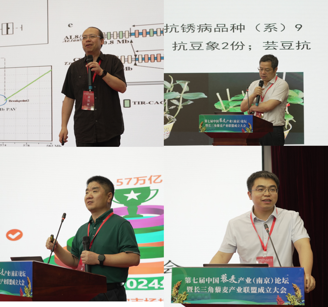 图片5.png