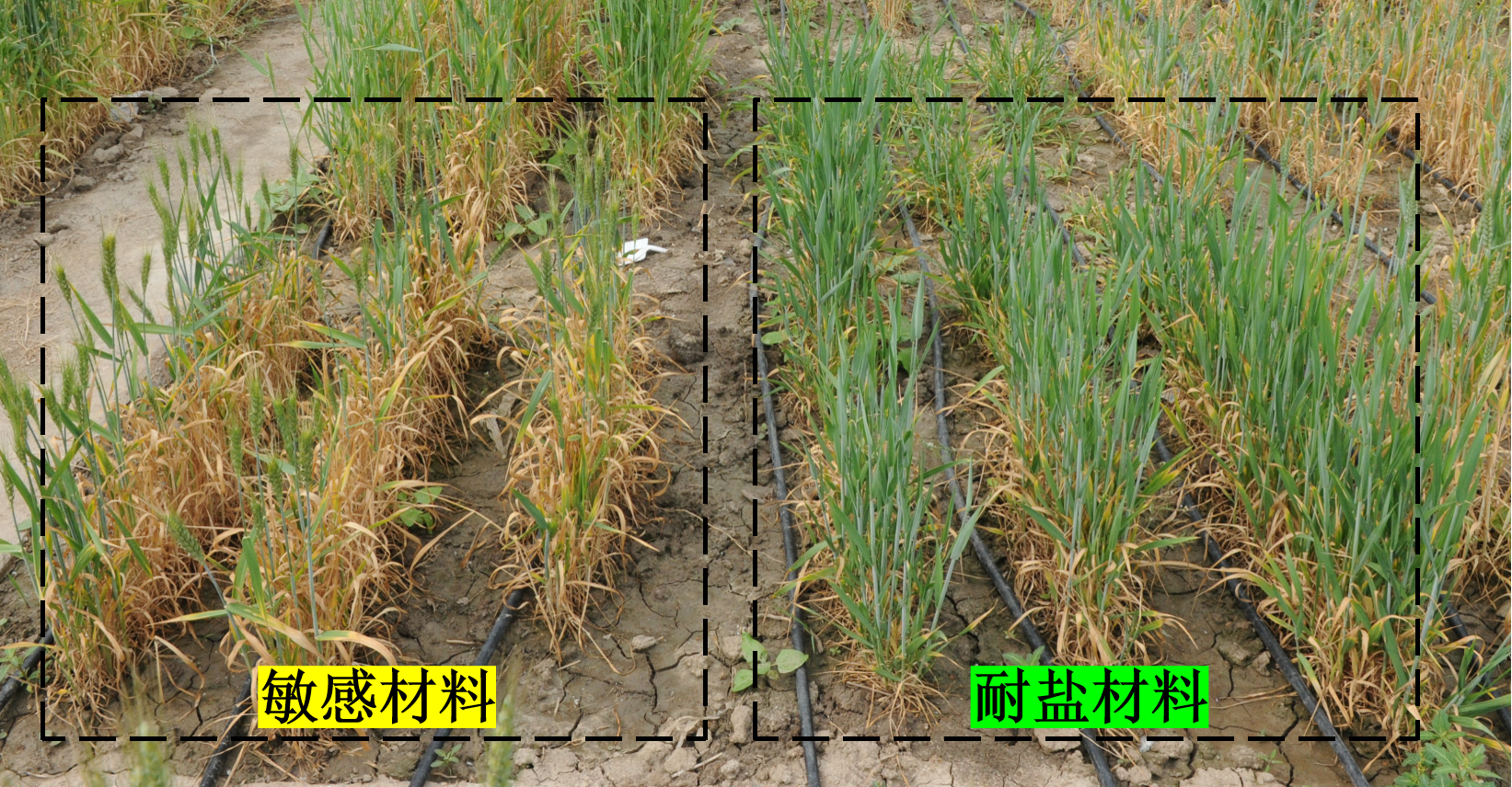 微信图片_20250718140750.png