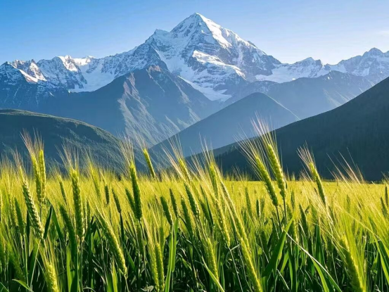 微信图片_20250928085210.png
