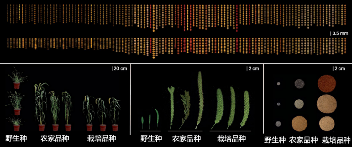1761014487630939.png 图片1.png