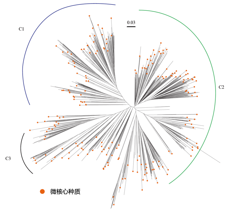 1761014521167772.png 图片2.png