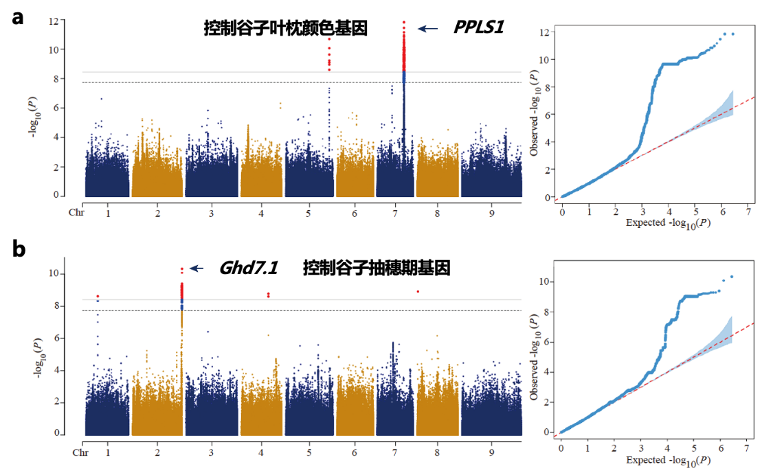 1761014547510196.png 图片3.png