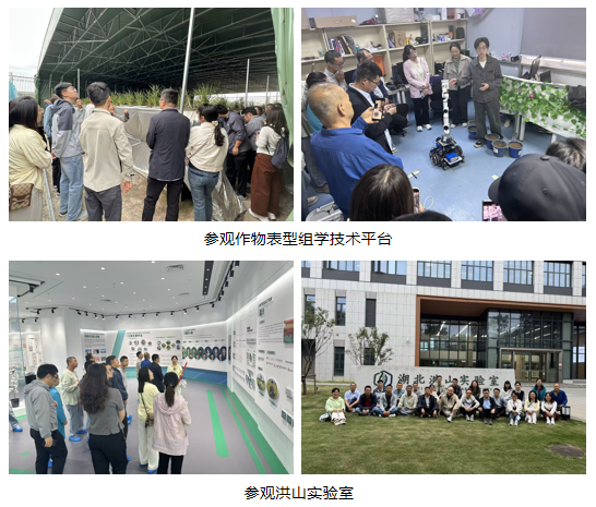 组织学员参观华中农业大学作物表型组学技术平台与洪山实验室.png