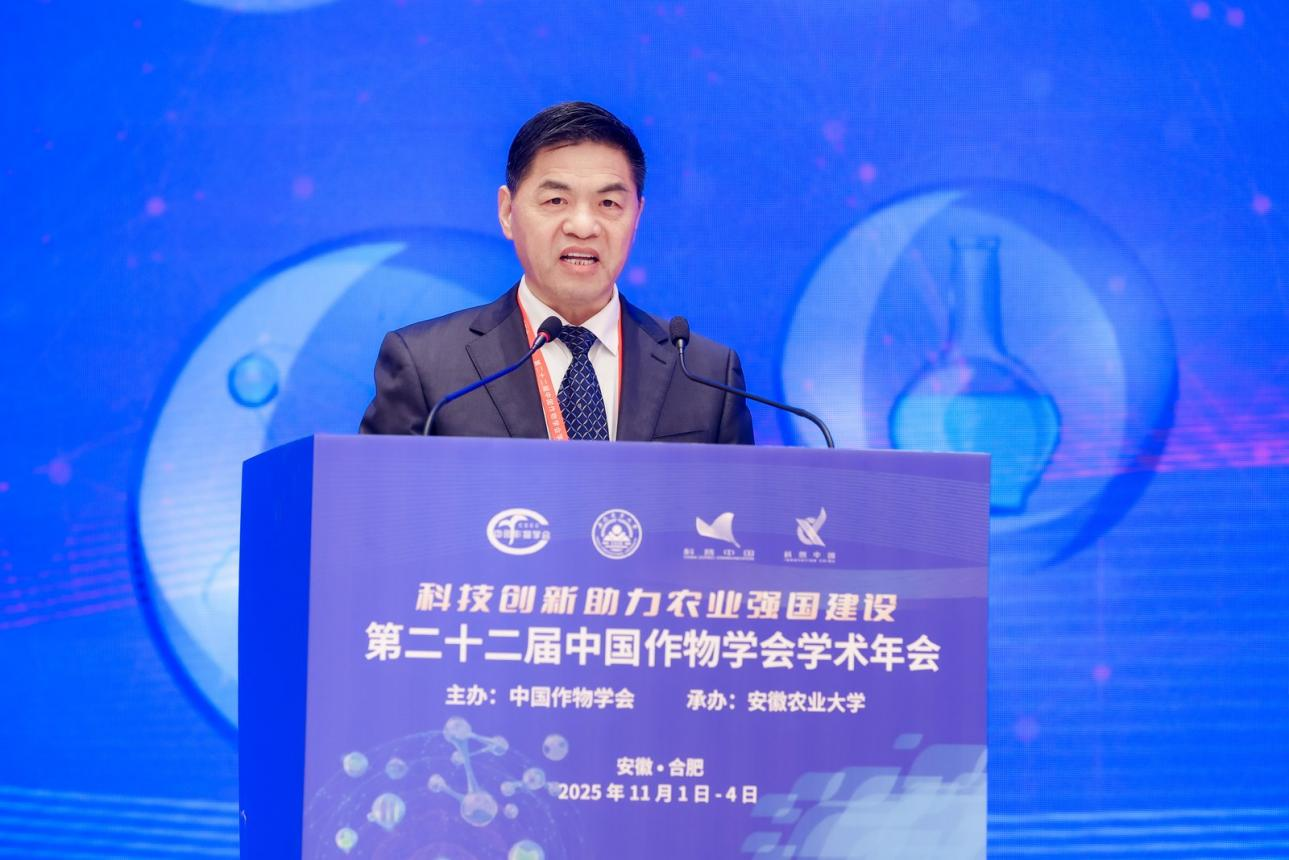 1762238900367527.png 图片3.png