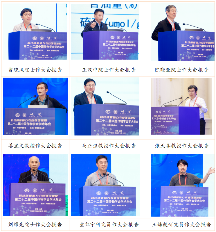 1762239093716924.png 9.png