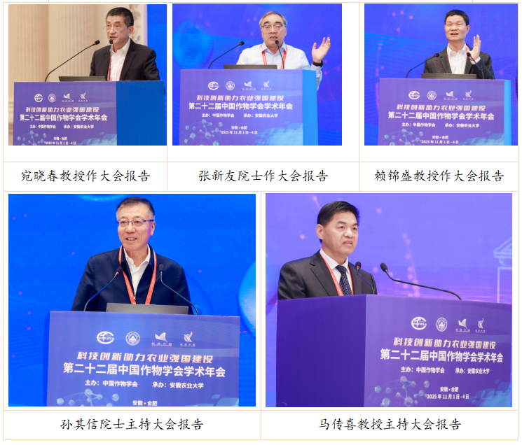 1762239103422213.png 10.png