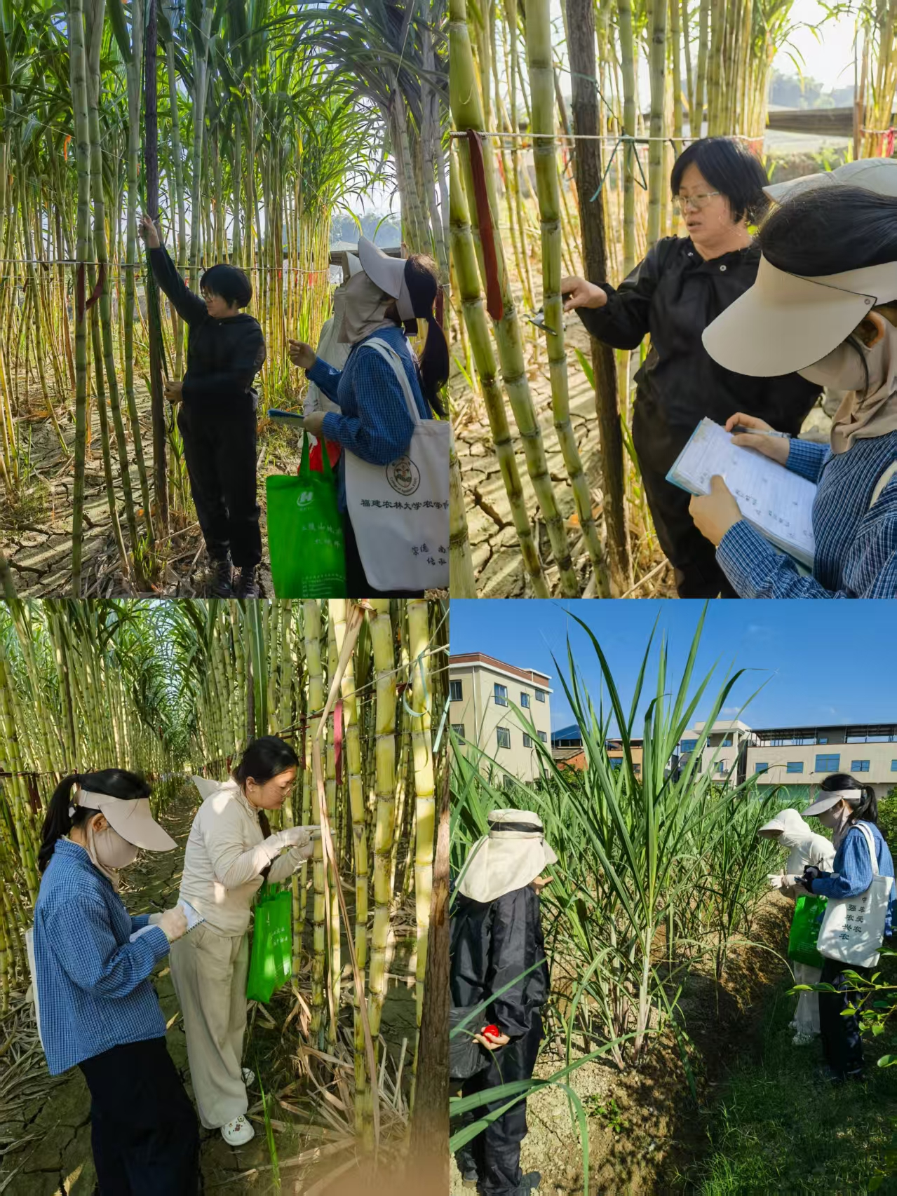 1762757743809278.png 图片1.png