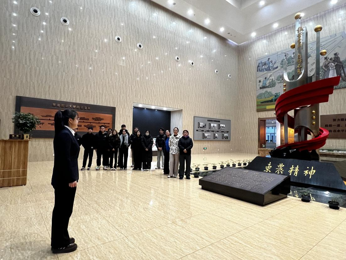 1762824690271975.png 图片3.png