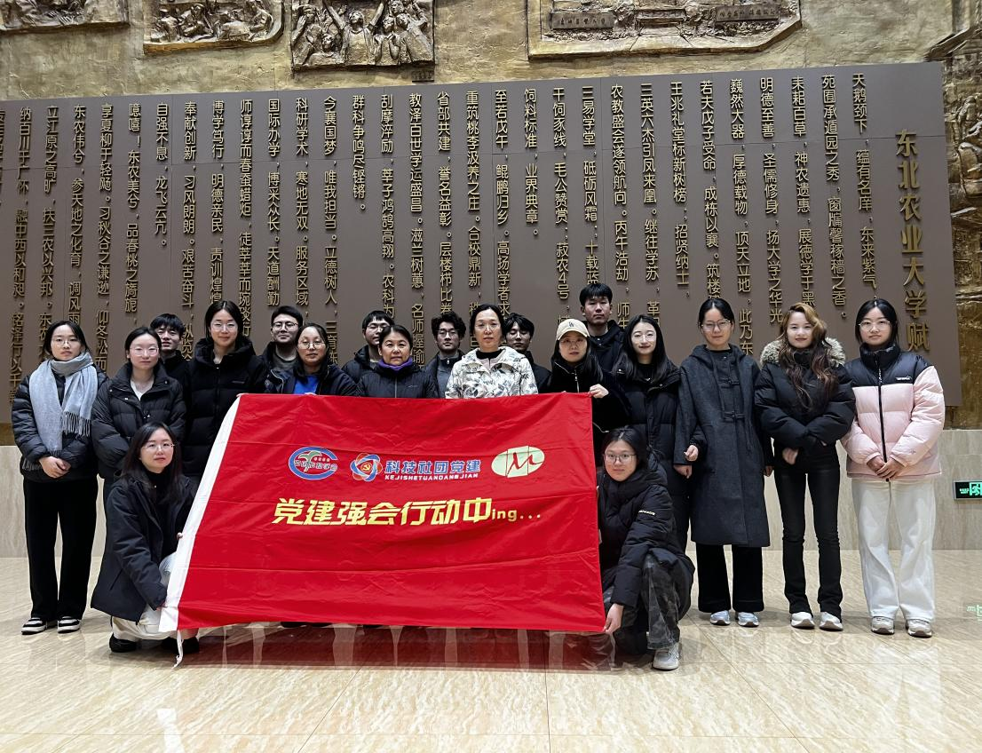 1762824731889947.png 图片5.png