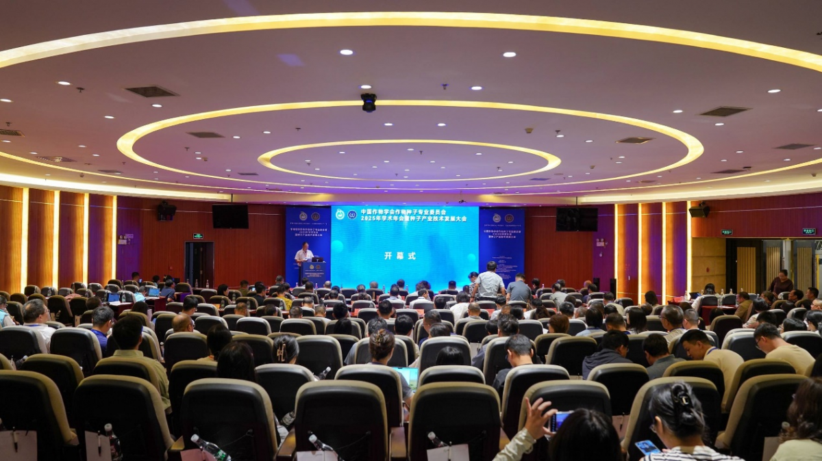 1763348328532801.png 图片1.png