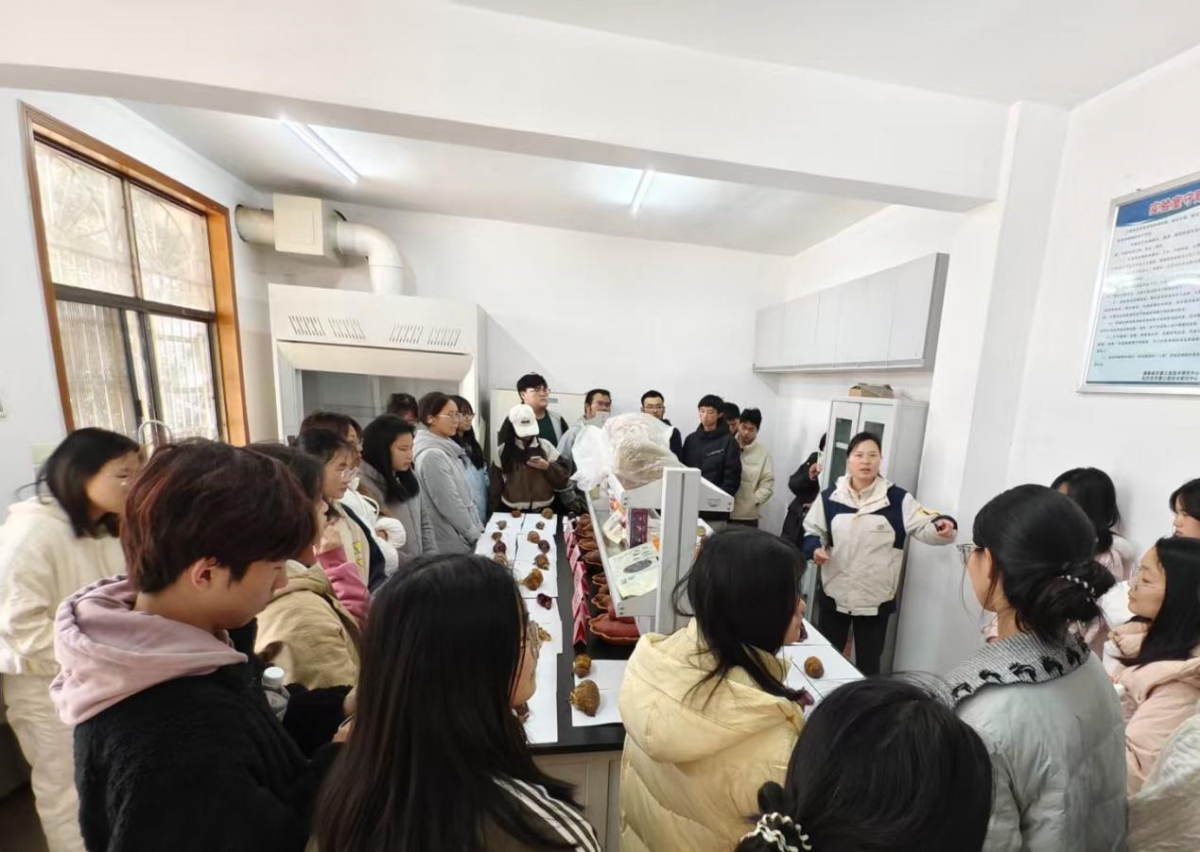 1763533833549999.png 图片1.png