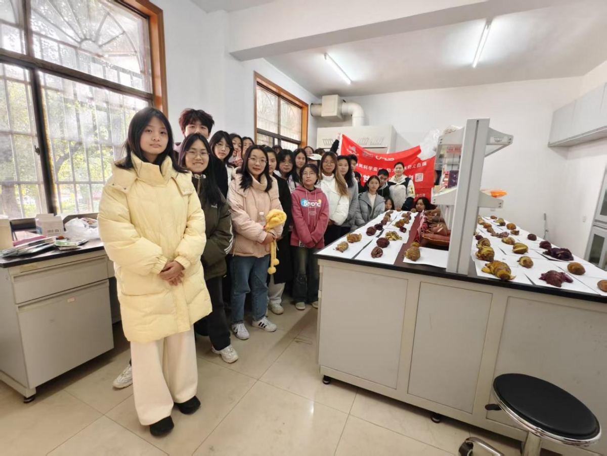 1763533876870777.png 图片3.png