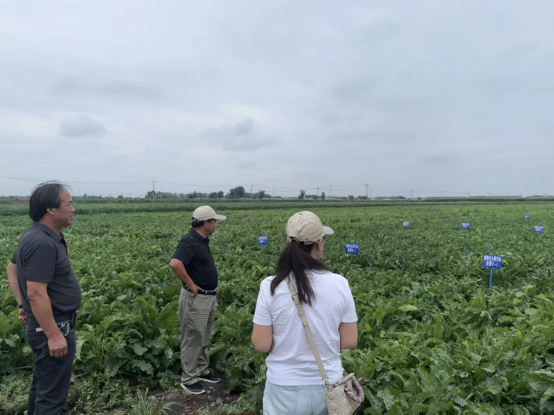 1763957988426660.png 90270af811a0595004899ef7f5450f0c.png