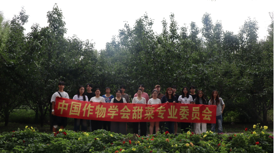 1763958000282528.png 2c4343b1ae886fc35c190ca85181d7be.png