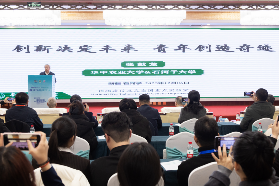 1765247740397983.png 1.png