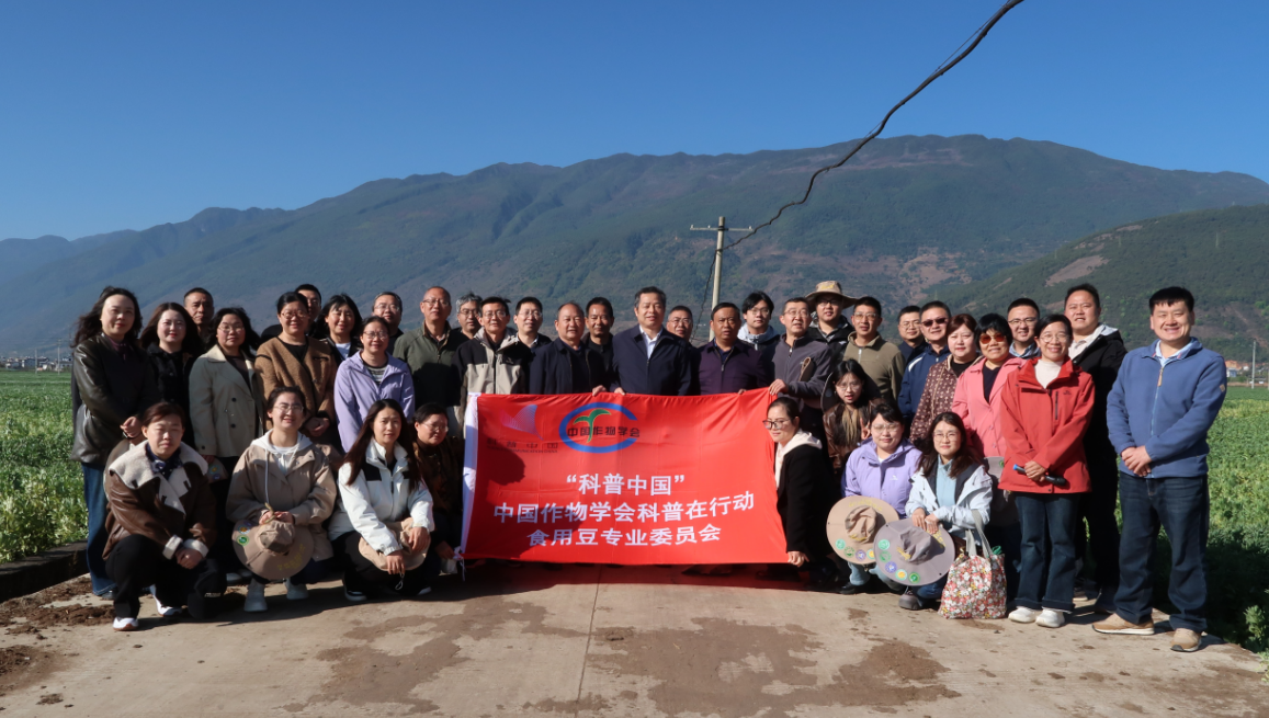 1775090219538575.png 图片1.png