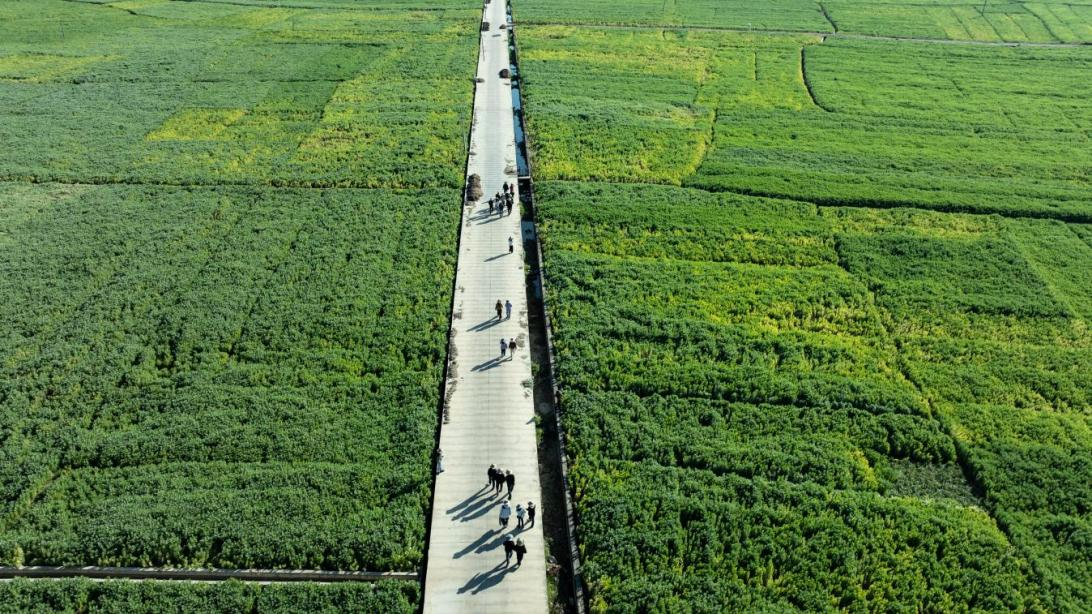 1775090259988595.png 图片2.png