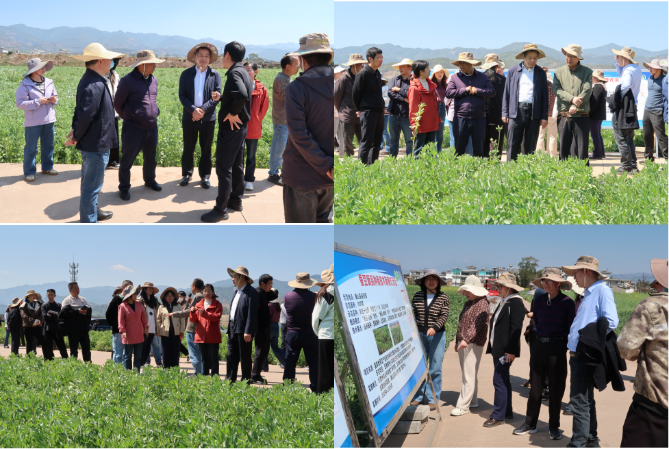 1775090288945352.png 图片3.png