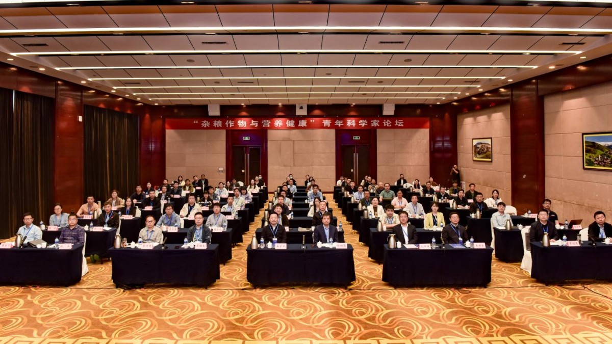 1779153162776728.png 图片1.png