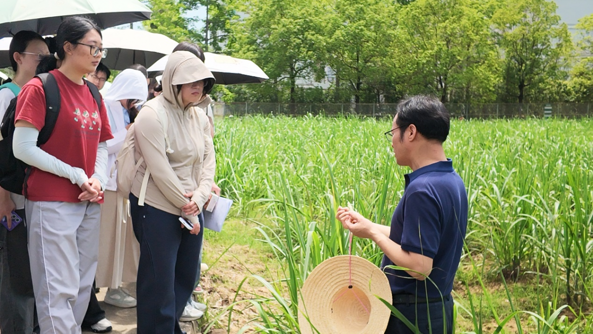 1780285232952970.png 图片2.png