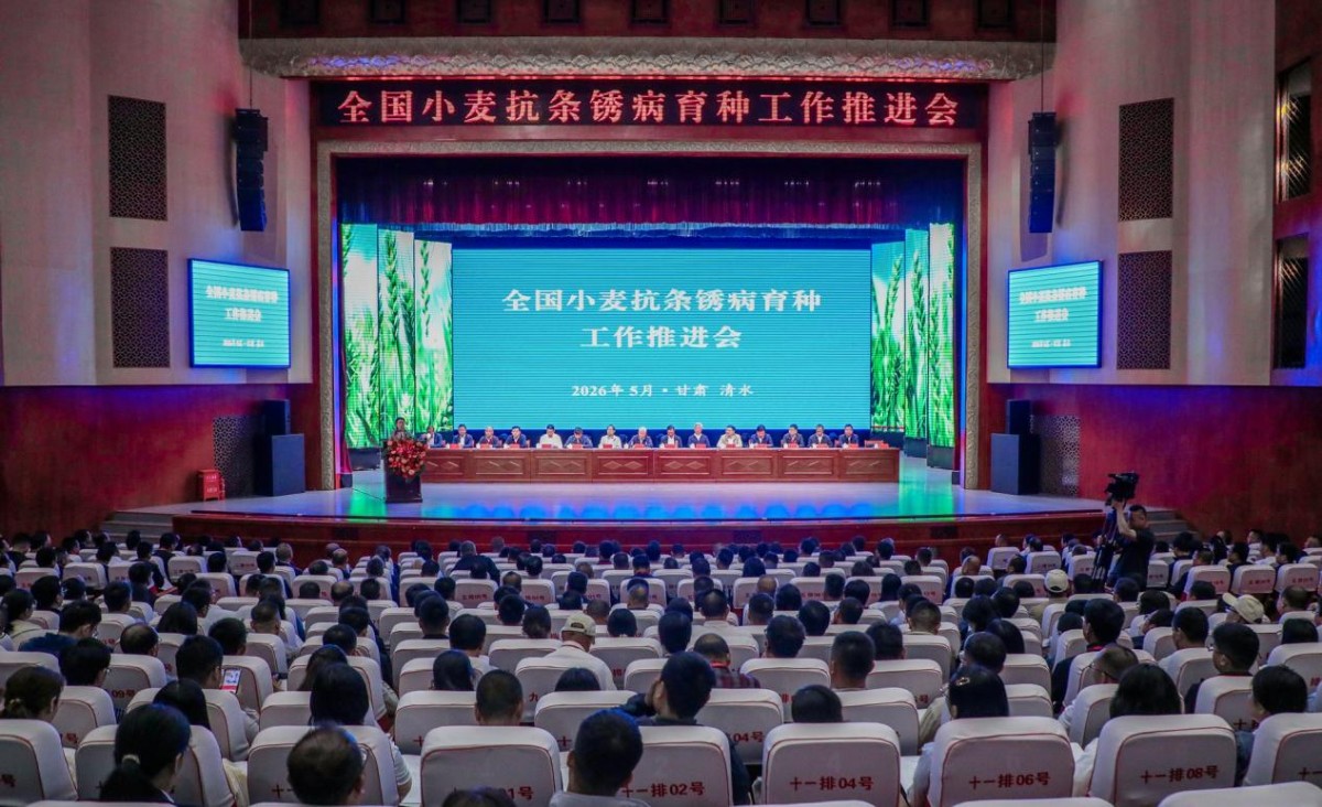 1780365478903609.png 图片1.png