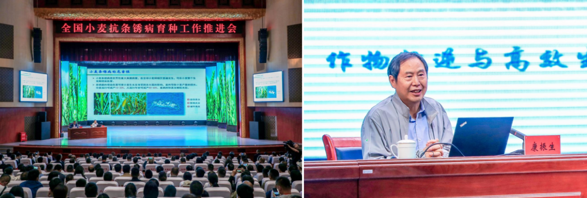 1780365507462177.png 图片2.png
