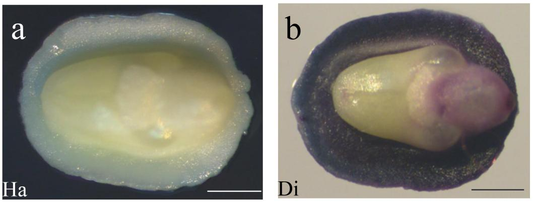1780457957350476.png 图片8.png
