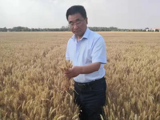 1780481674865370.png 图片2.png