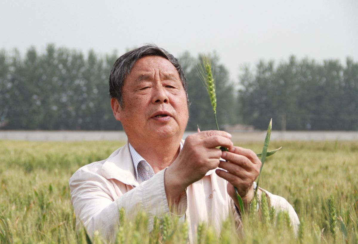 微信图片_20260605100134_2114_77.jpg