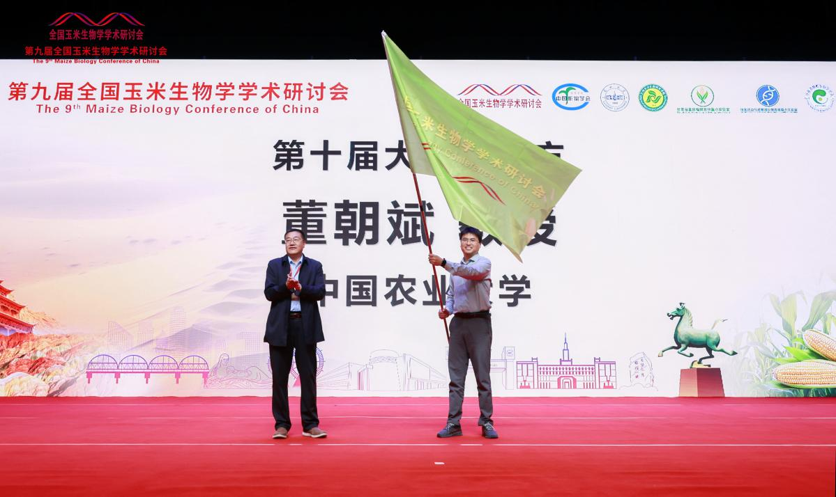 图片9.png