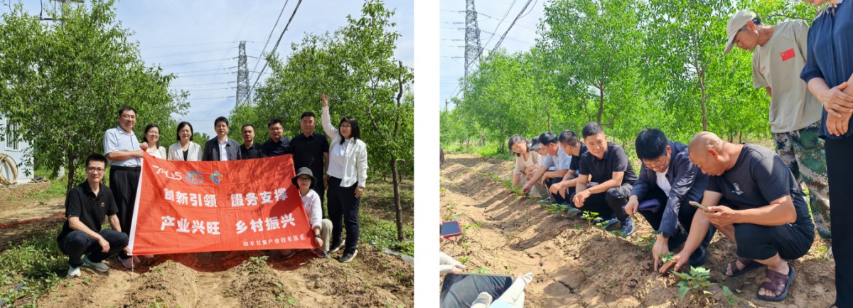 微信图片_20260608174826_799_3.png