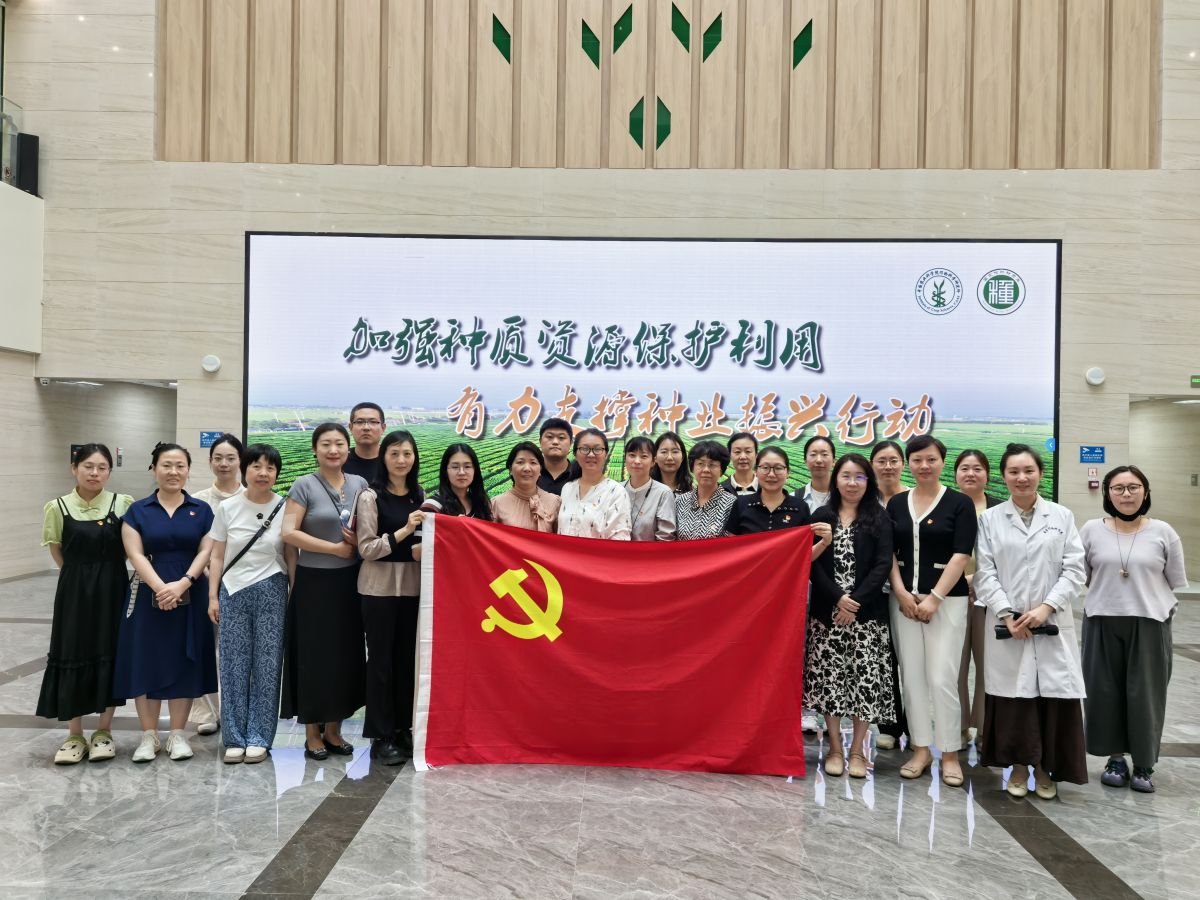 图3.jpg