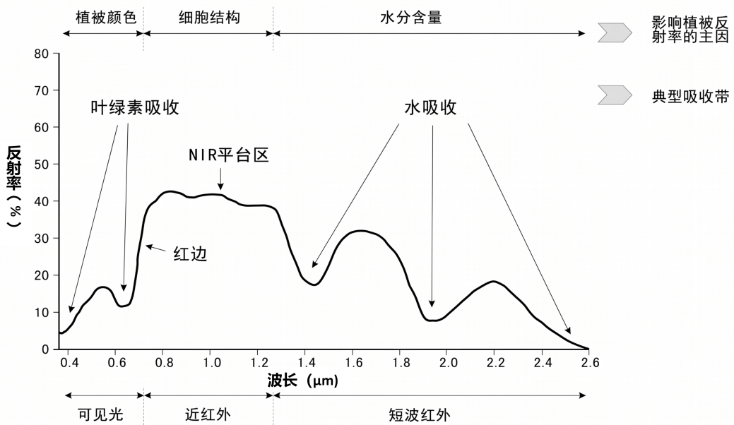 1782271342634486.png 图片1.png