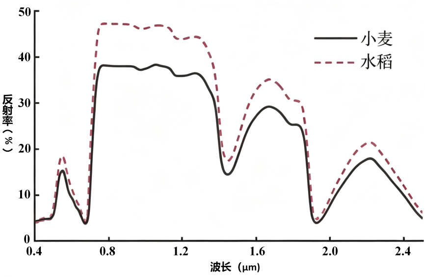 1782271482213710.png 图片3.png