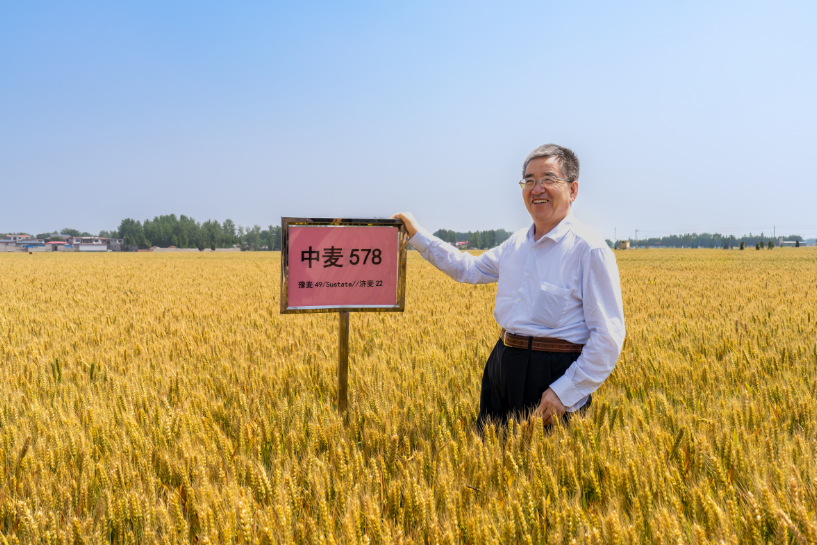 图4.png