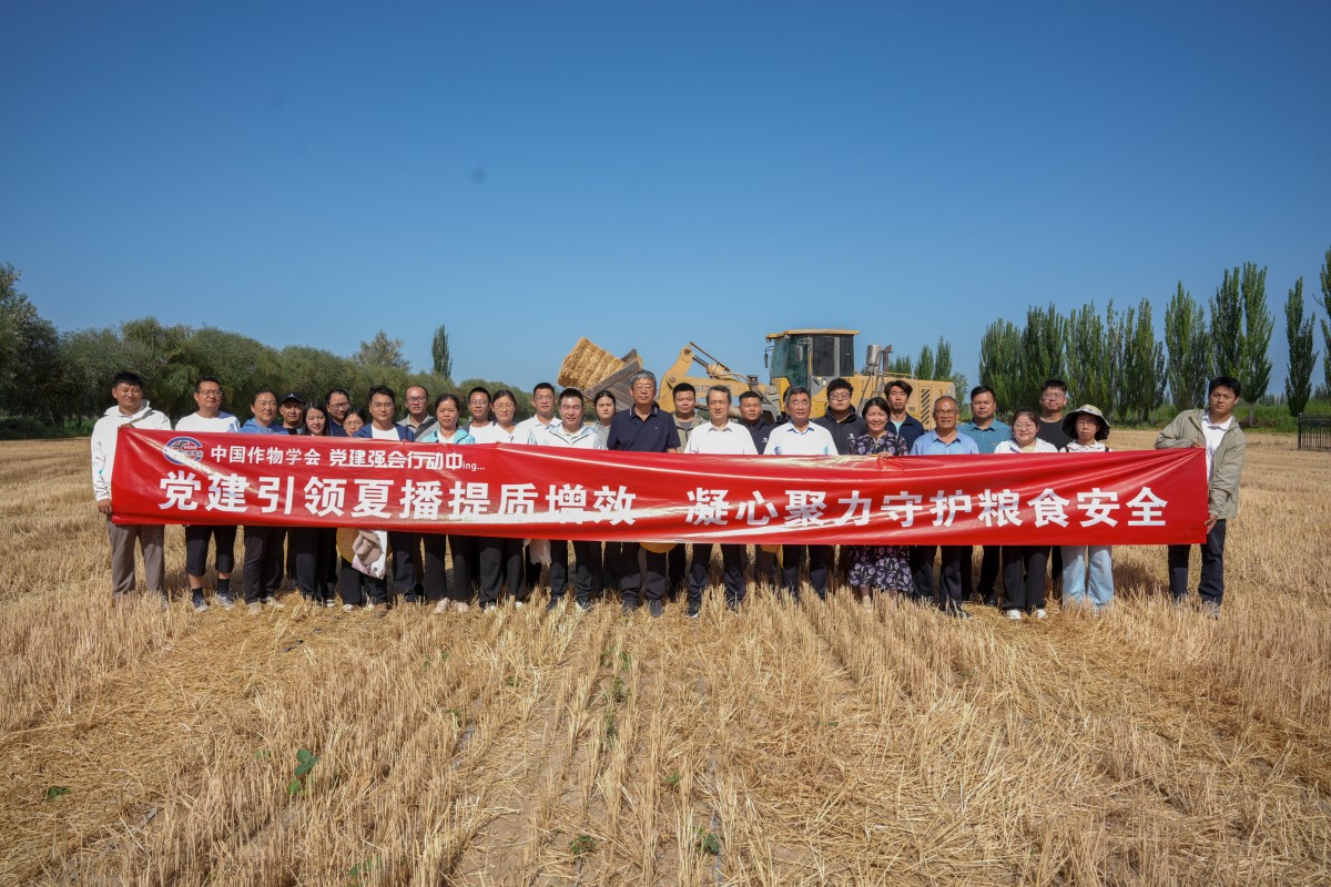 图片4(1).png