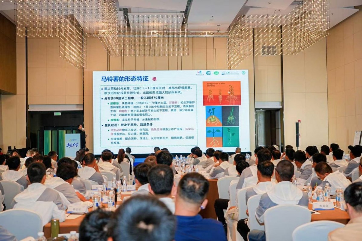 1783388396863154.png 图片3.png