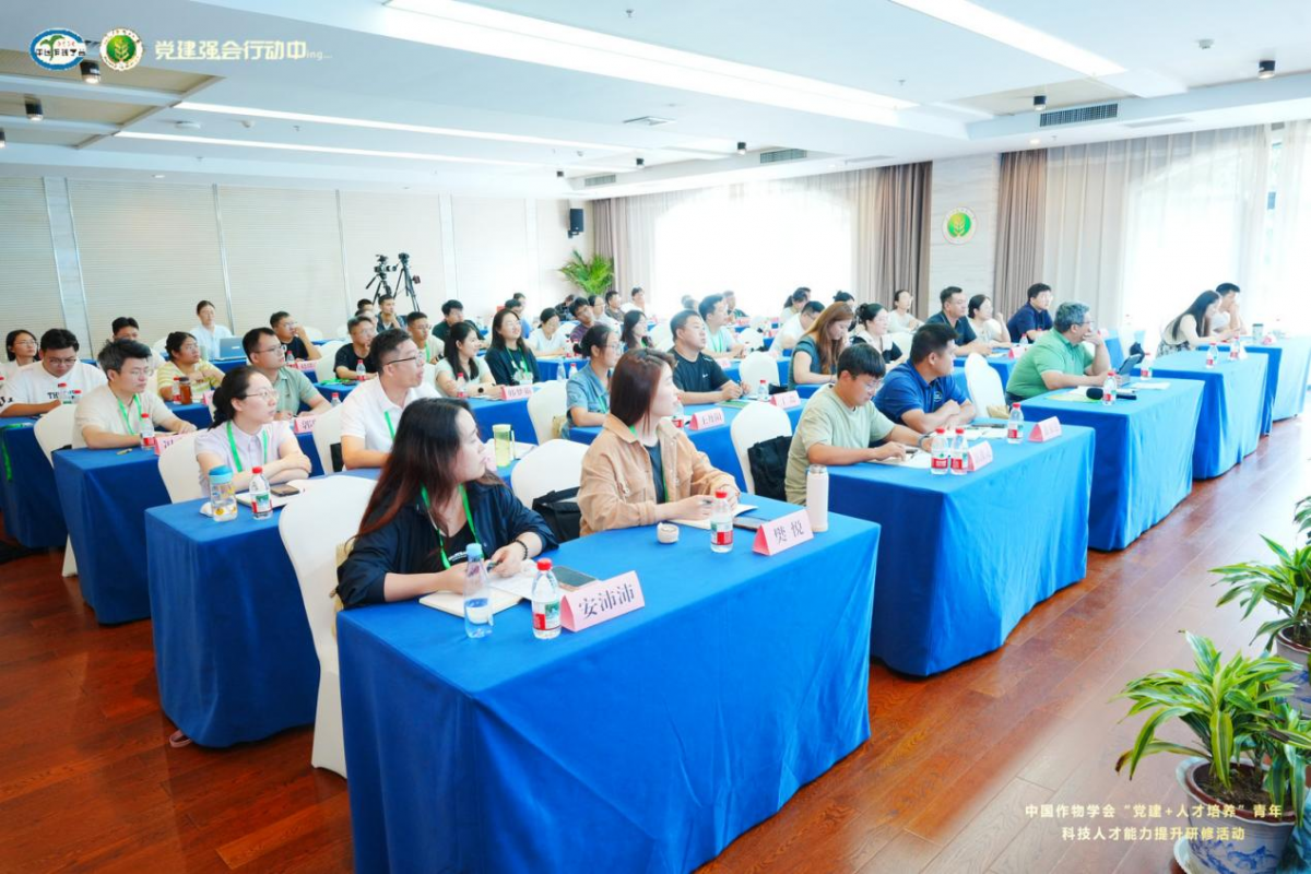 1784508439343825.png 图片5.png